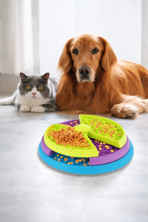 Gamelle Interactive 3 Niveaux